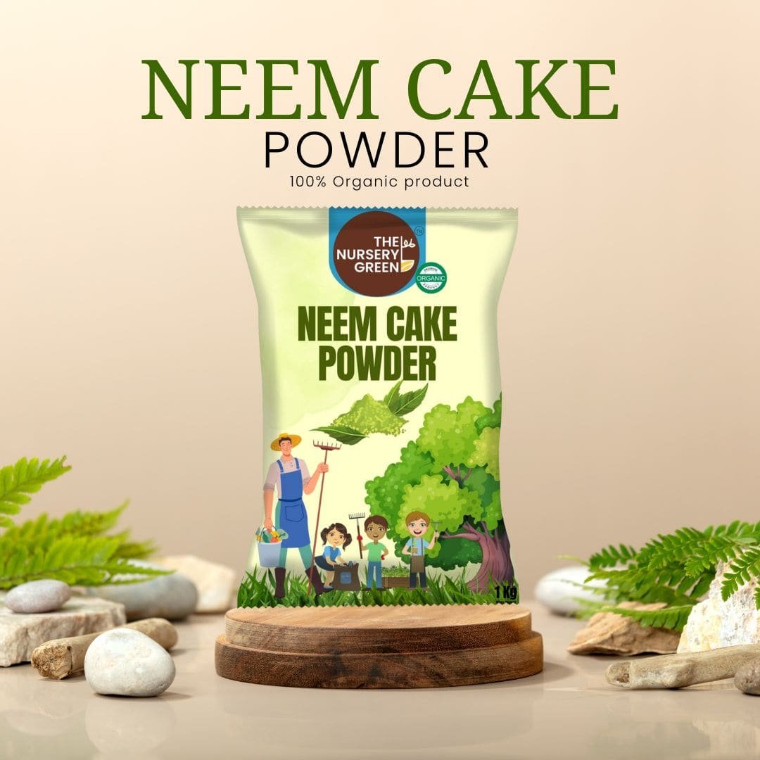 Neem khali in Lucknow guide image